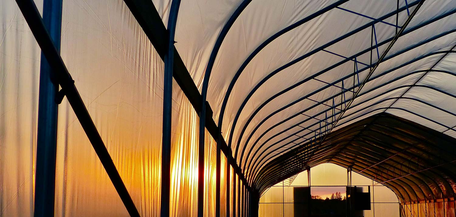 greenhouse at sunset